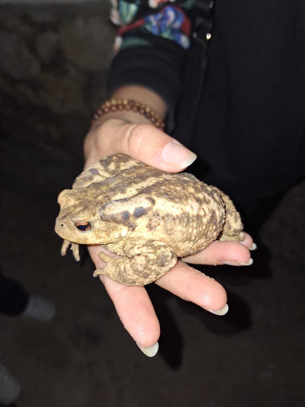 WhatsApp Image 2026-02-23 at 15.14.20