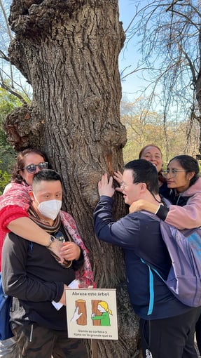 WhatsApp Image 2026-03-12 at 18.27.40