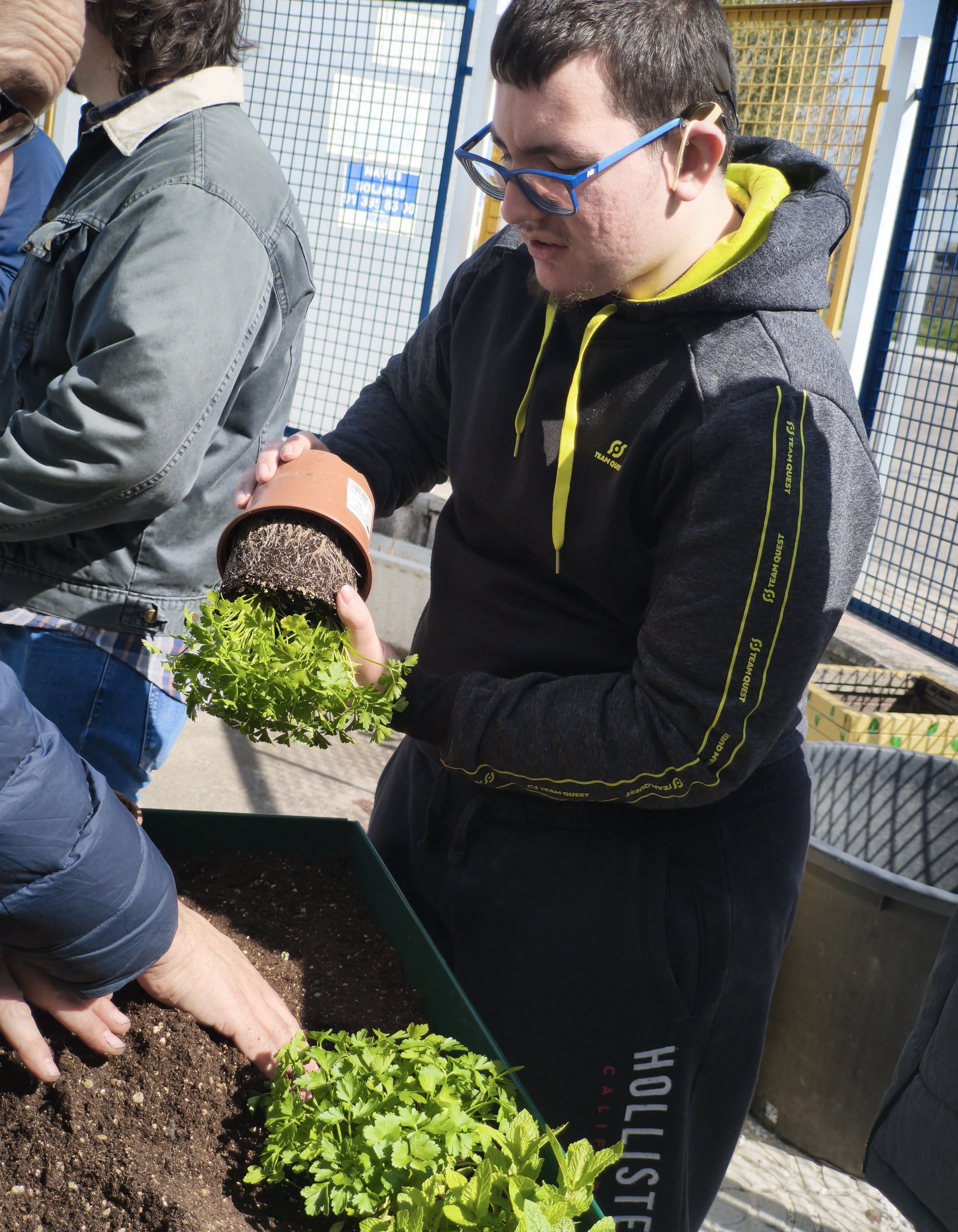 LLEGA LA HORA DE TRANSPLANTAR