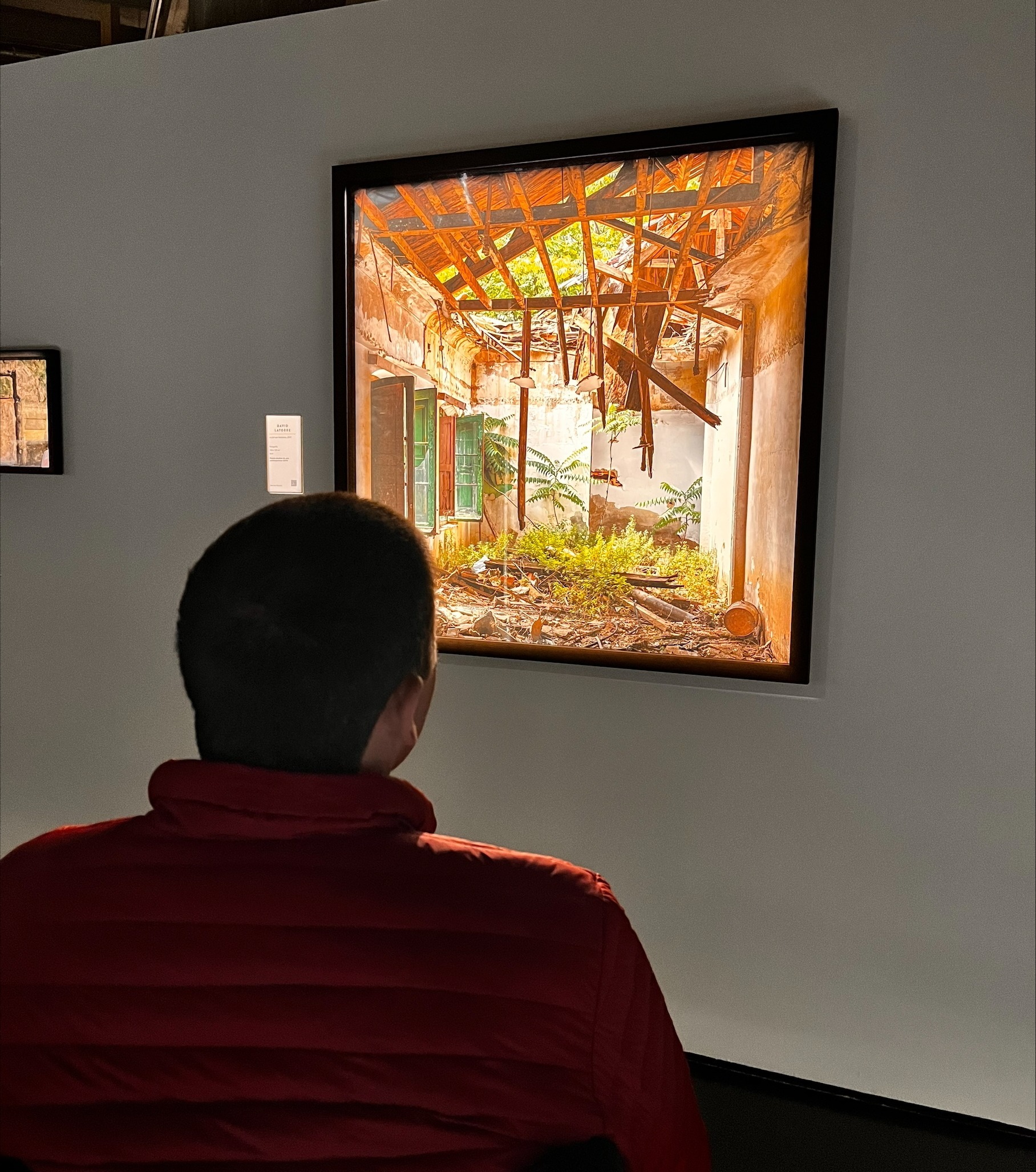 processed-B911F8DF-DDD7-4A13-855A-4C0DB5F49E5B-1hector en la